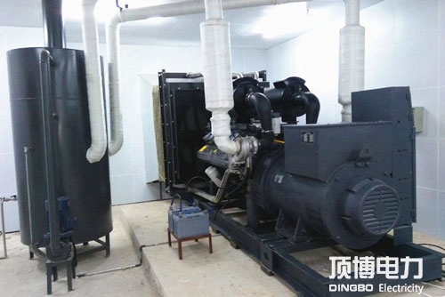柳州市轨道交通工程公司里卡多广西顶博发电机组制造